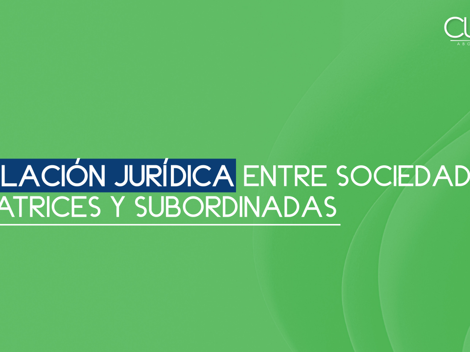 Relación Juridica entre Sociedades matrices y subordinadas