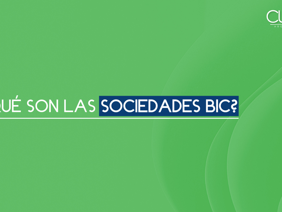¿Qué sn las sociedades BIC?