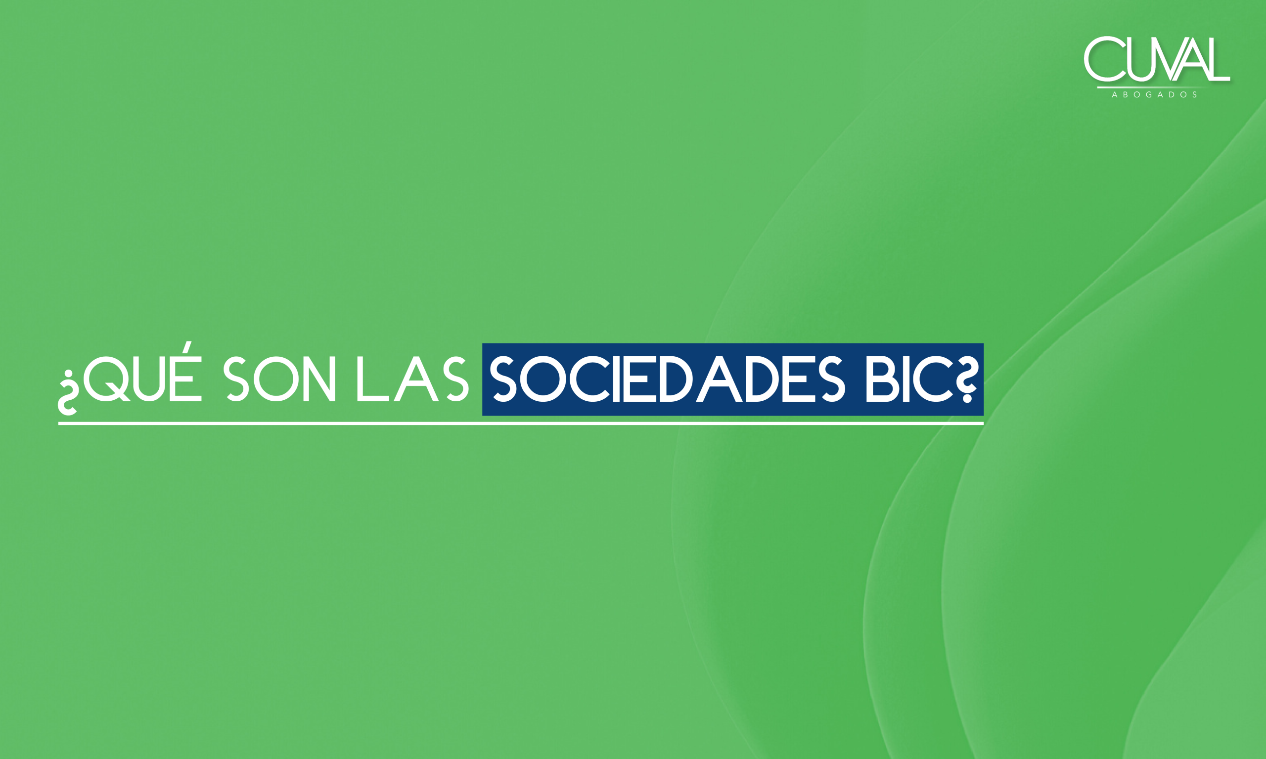 ¿Qué sn las sociedades BIC?